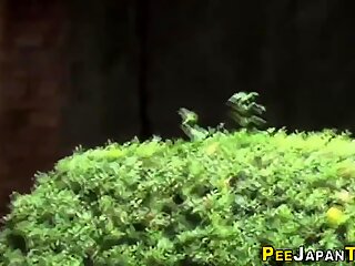 Japan pee, japanese public